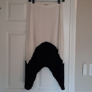 Express Pleated Skirt